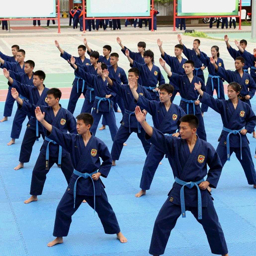 Tách taolu khỏi sanda: bước đầu tiên trước mọi bản phân tích võ thuật