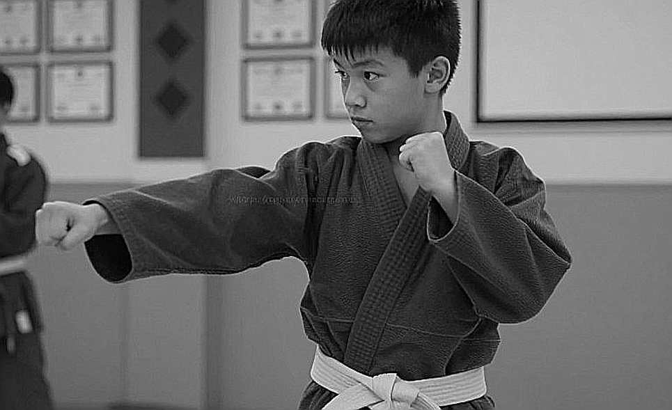 Phân tích chuyên sâu về võ thuật: Khi dữ liệu đầu vào trống rỗng, mọi kết luận đều bất khả thi